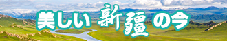 肥逼网新疆banner-w330n60.jpg